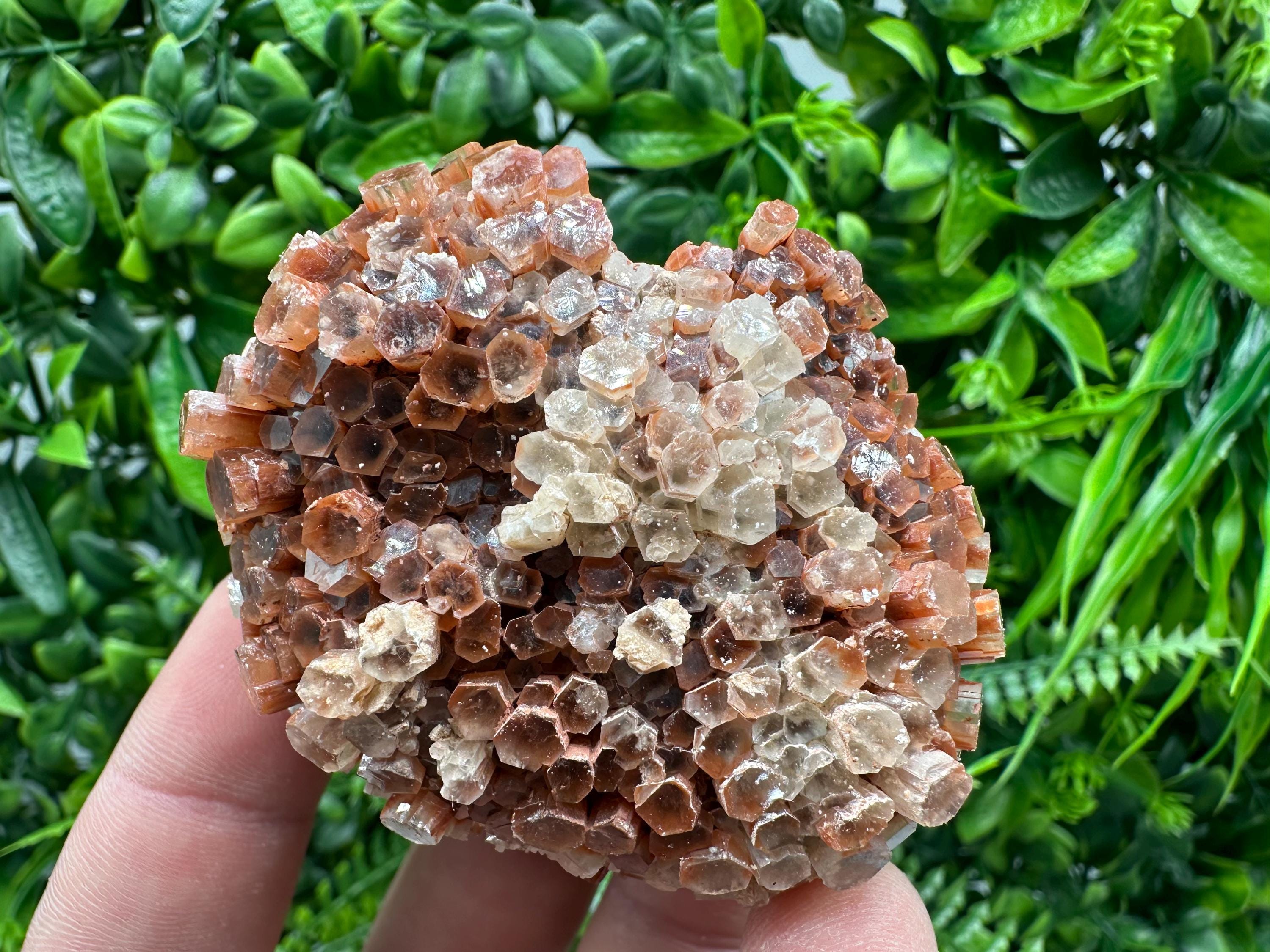 Moroccan Aragonite Sputnik Cluster: Raw Crystal Stone Decor