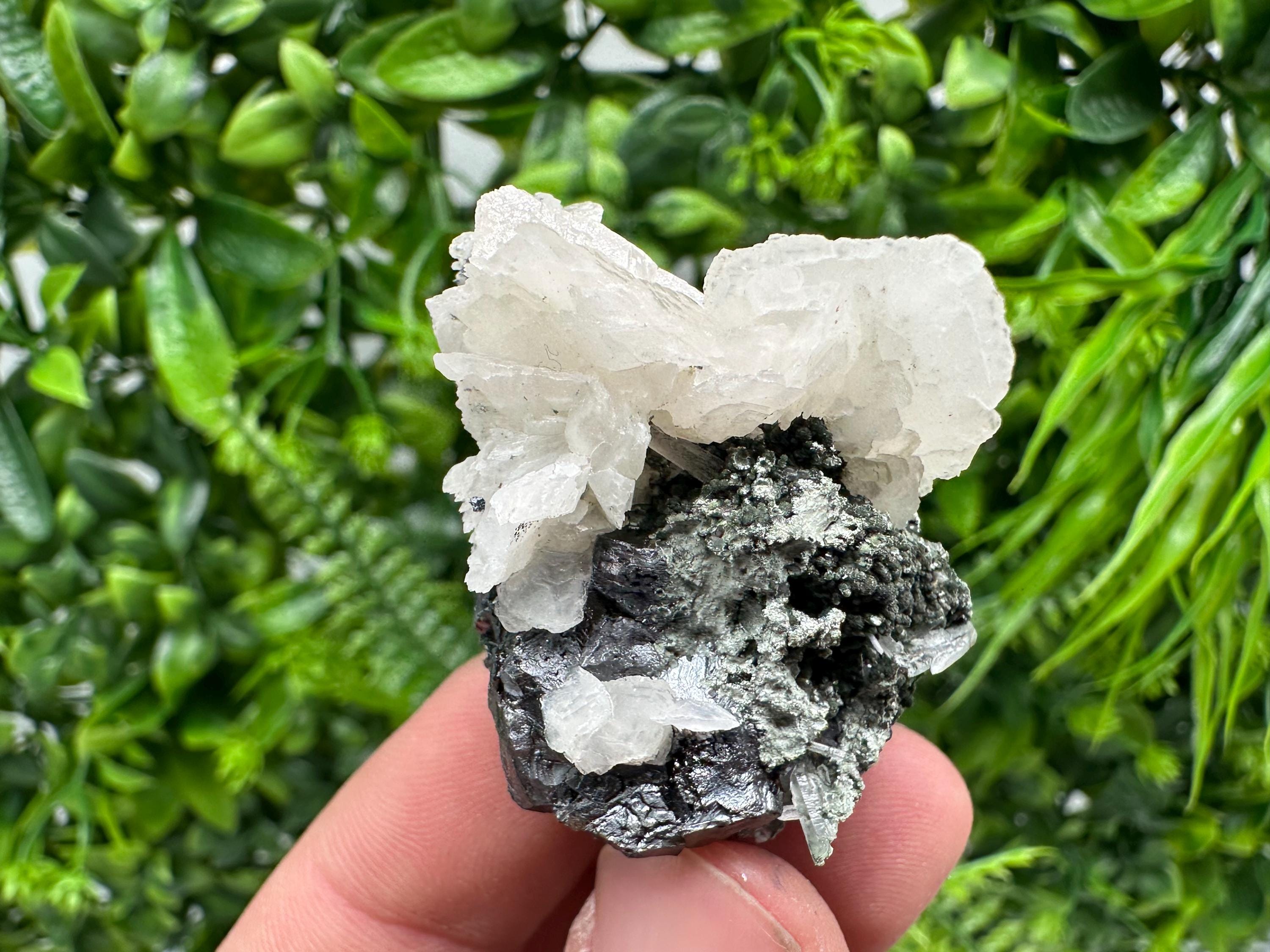 Mirror Galena, Calcite, Sphalerite on Quartz with Chlorite: Collection Mineral