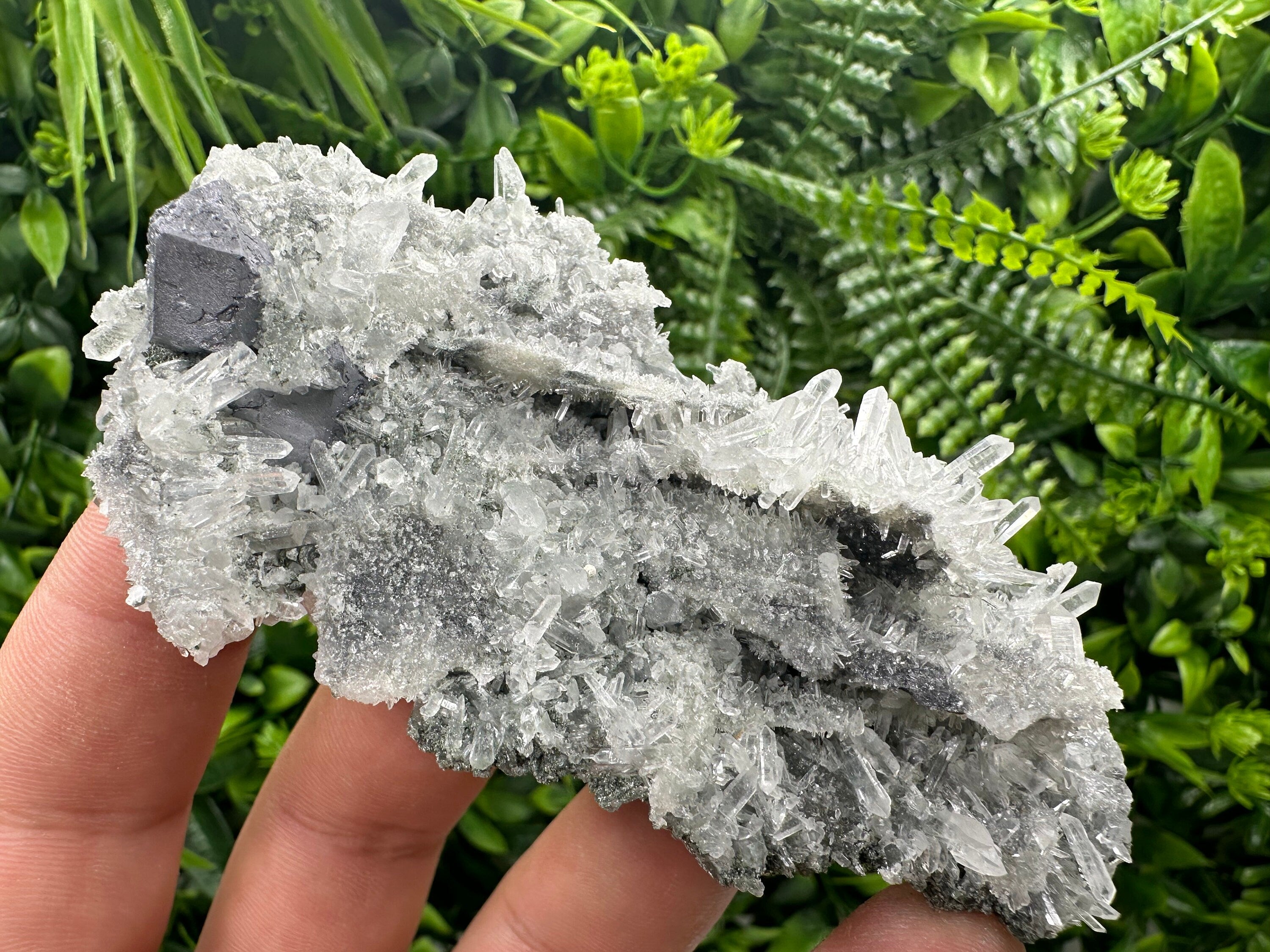 Galena on Green Quartz, Borieva Mine, Mineral Specimen