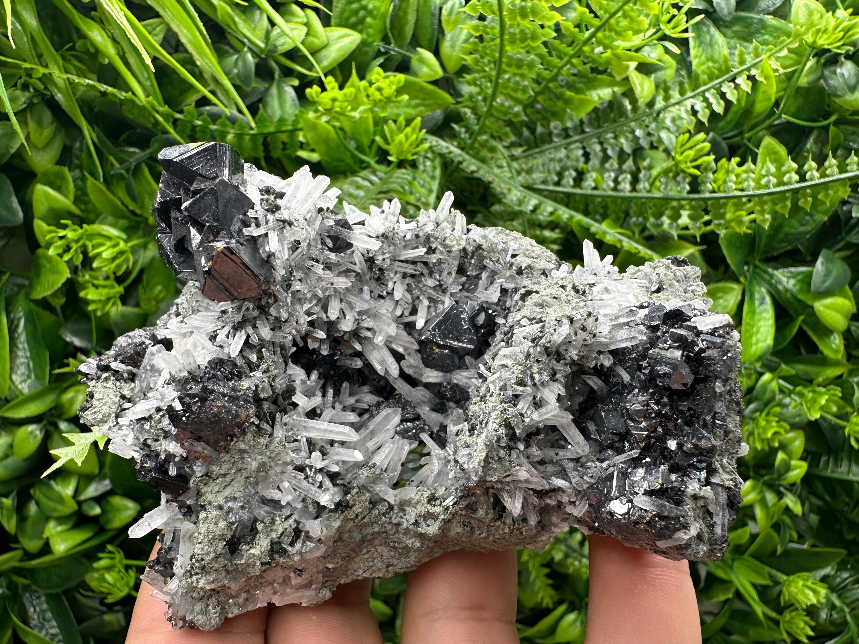 Sphalerite on Quartz Cluster: Borieva Mine, Bulgaria