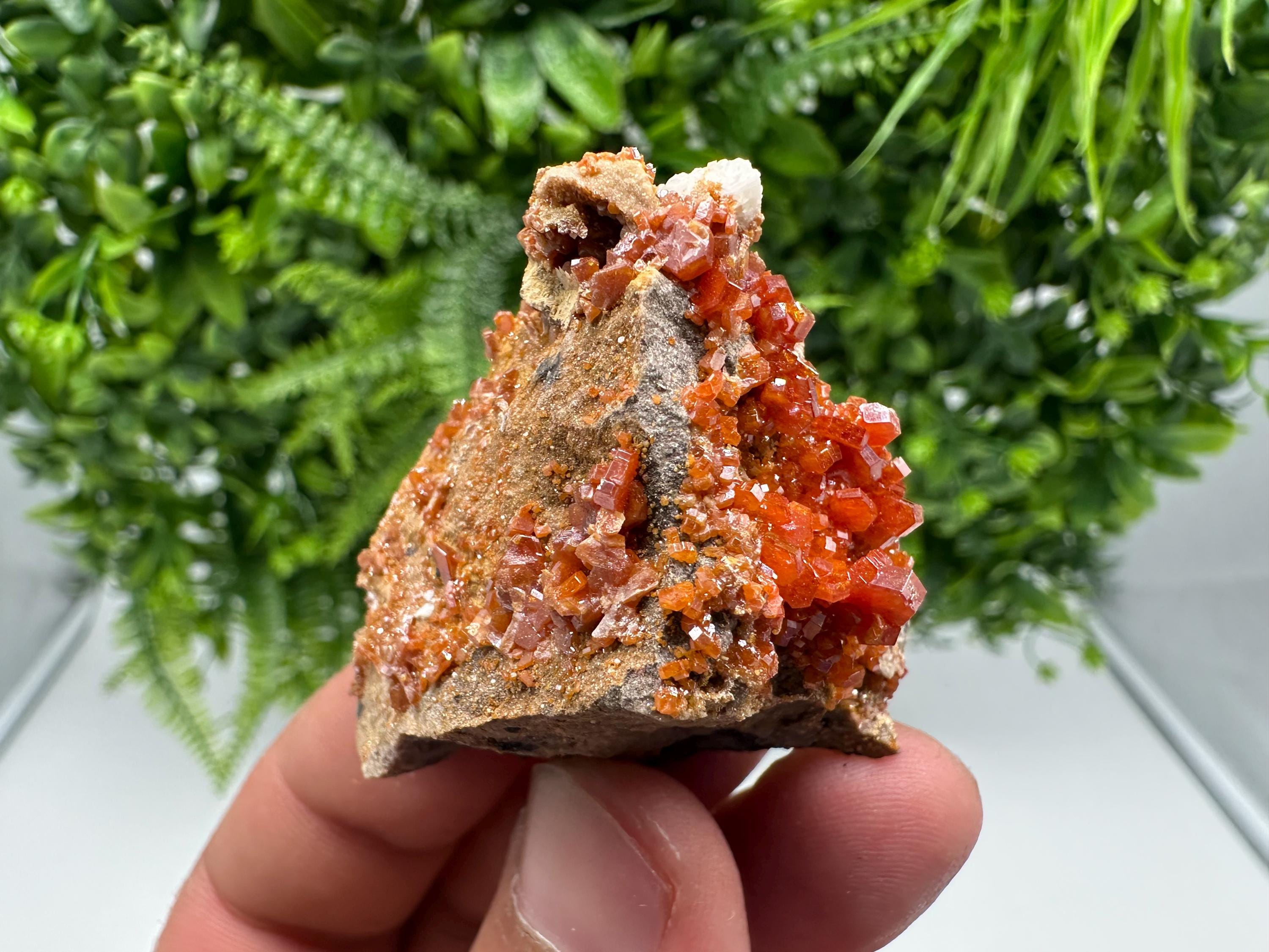 Red Vanadinite on Barite from Marocco,crystal minerals Speciment cluster Vanadinite crystal Vanadinite Geology Vanadinite cluster minerals
