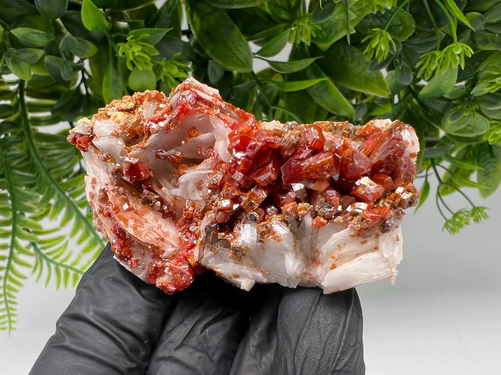 Red Vanadinite on Barite from Marocco,crystal minerals Speciment cluster Vanadinite crystal Vanadinite Geology Vanadinite cluster minerals