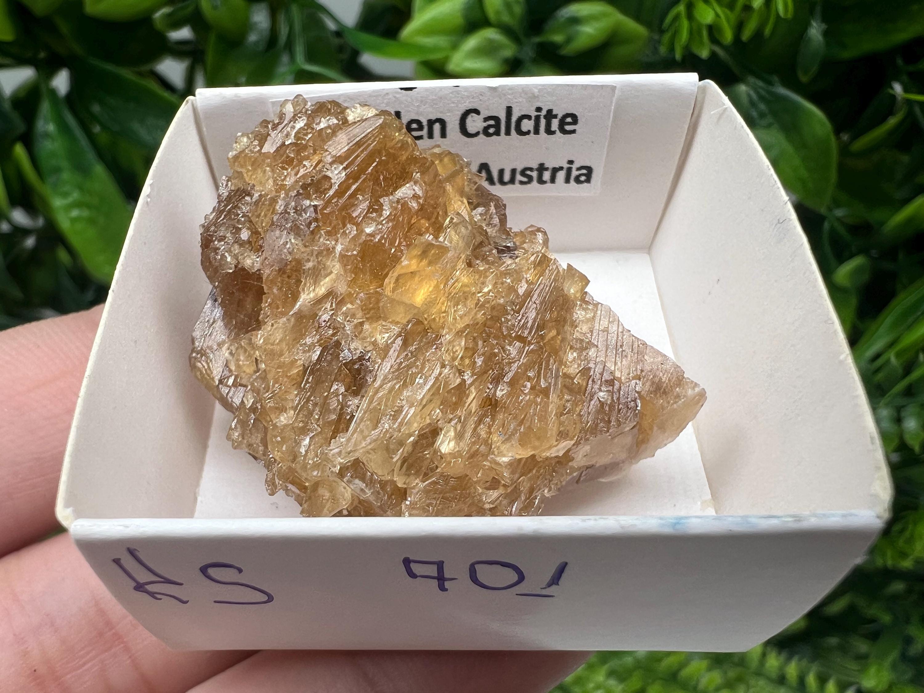 Raw Honey Calcite Stone: Golden Crystal (4/3 cm