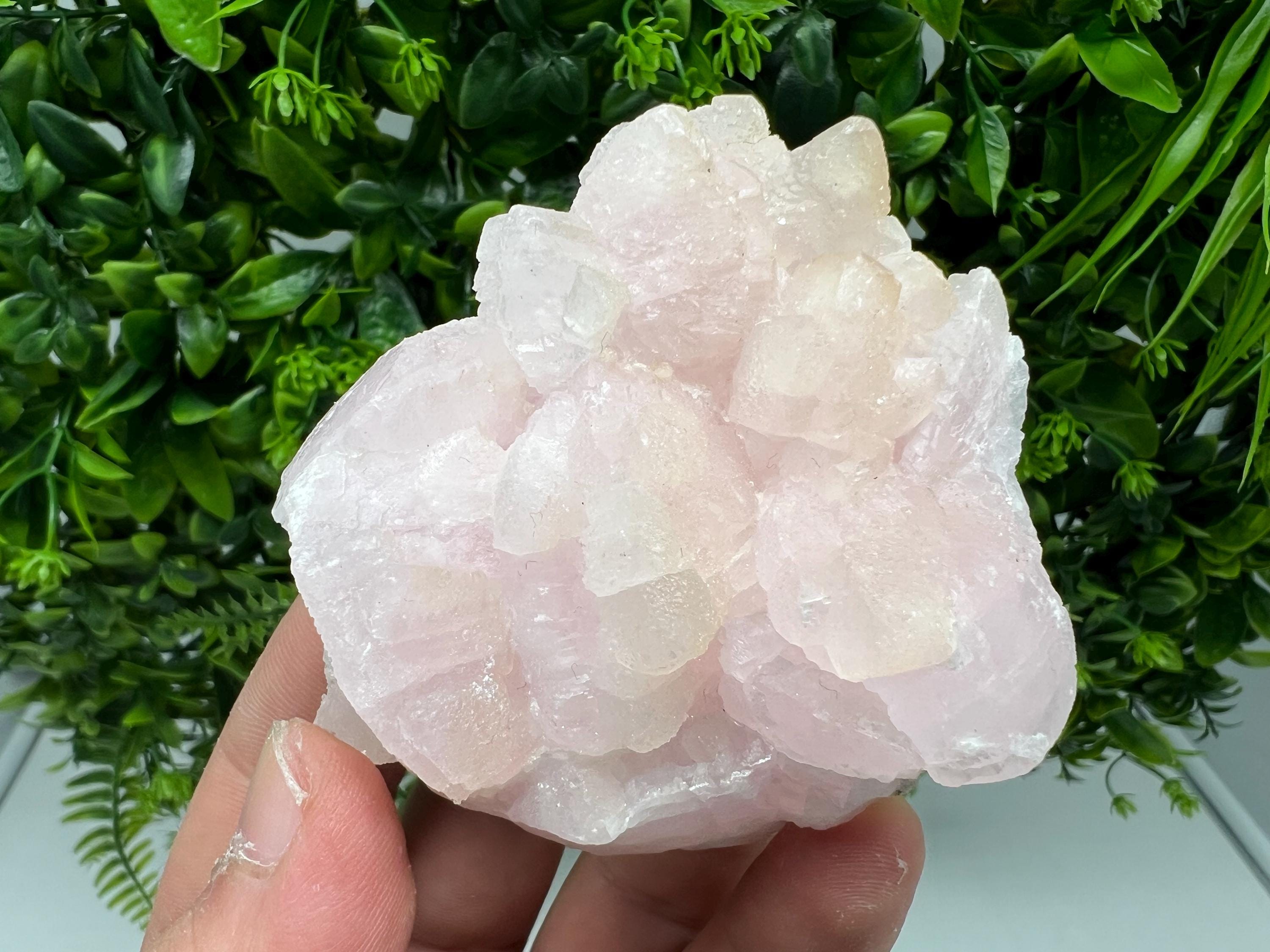 UV Reactive Mangano Calcite Crystal: Androvo Mine, Bulgaria