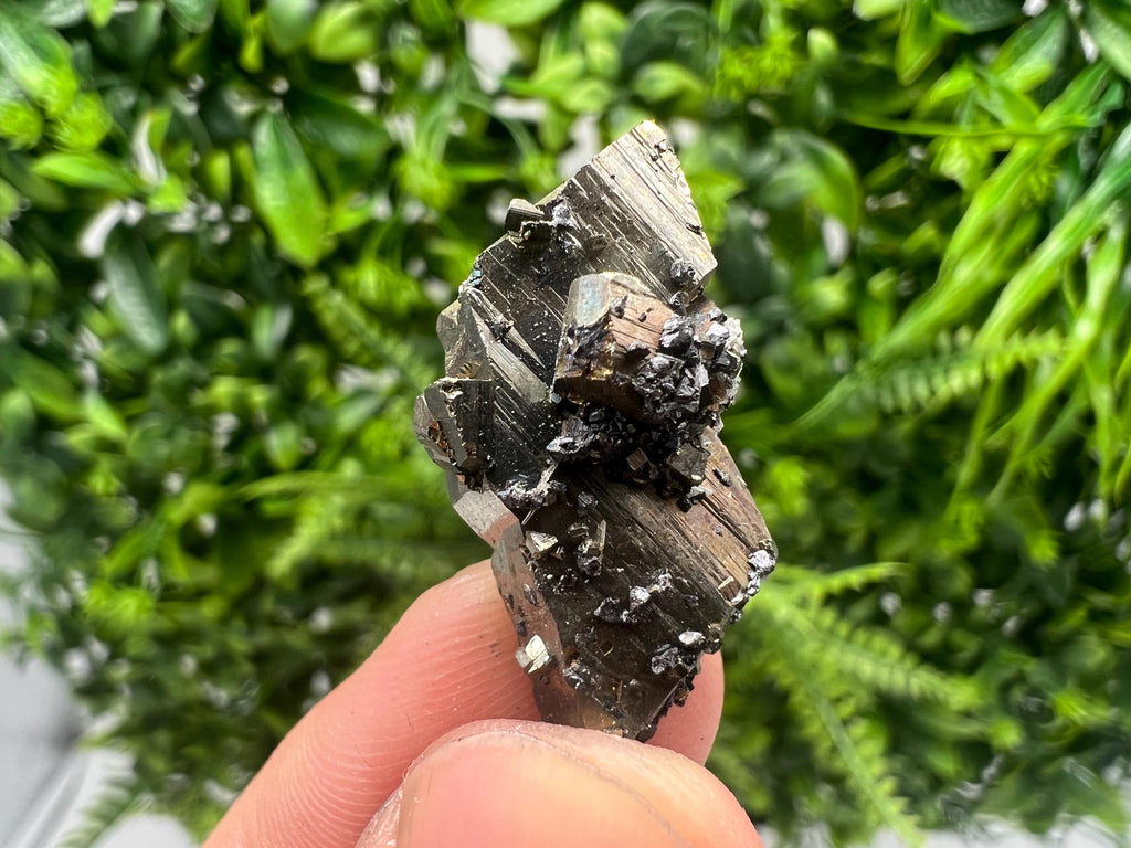 Mini Rainbow Pyrite Cluster: Borieva Mine, Bulgaria