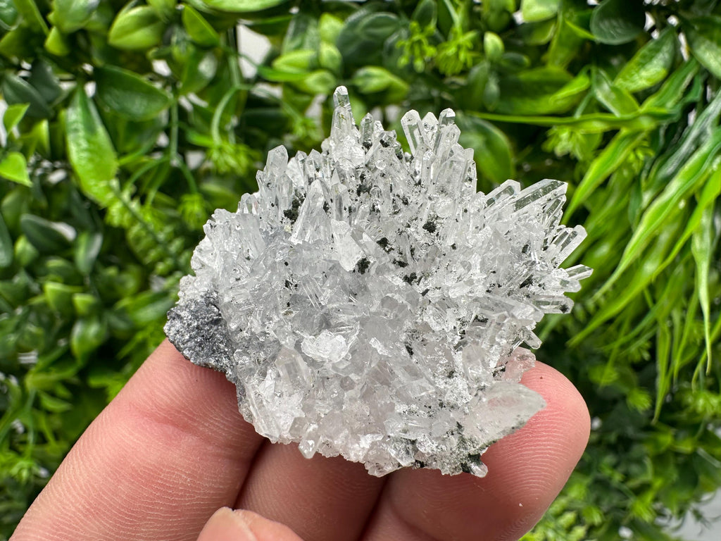 Chlorite Quartz Crystal Cluster - Borieva Mine, Bulgaria