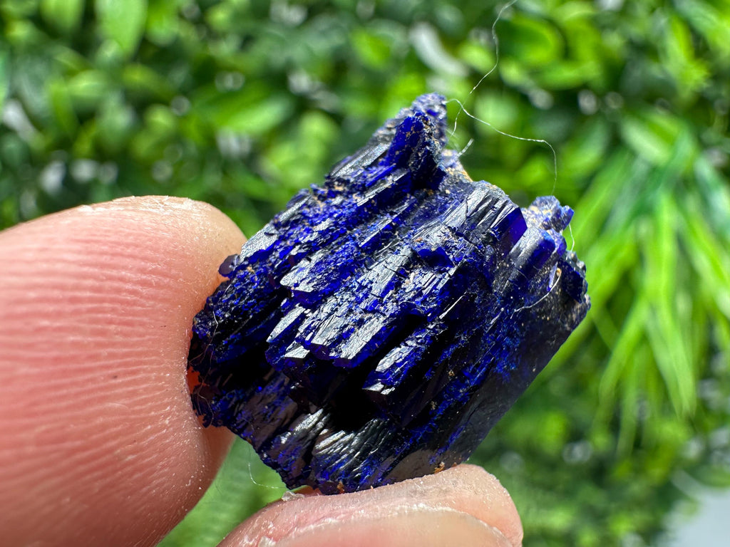 Crystallized Azurite-Kerrouchen,Morocco-Blue Azurite Specimen-High Quality Blue Azurite-Azurite Mineral Specimen, gemmy,lustrous of Azurite