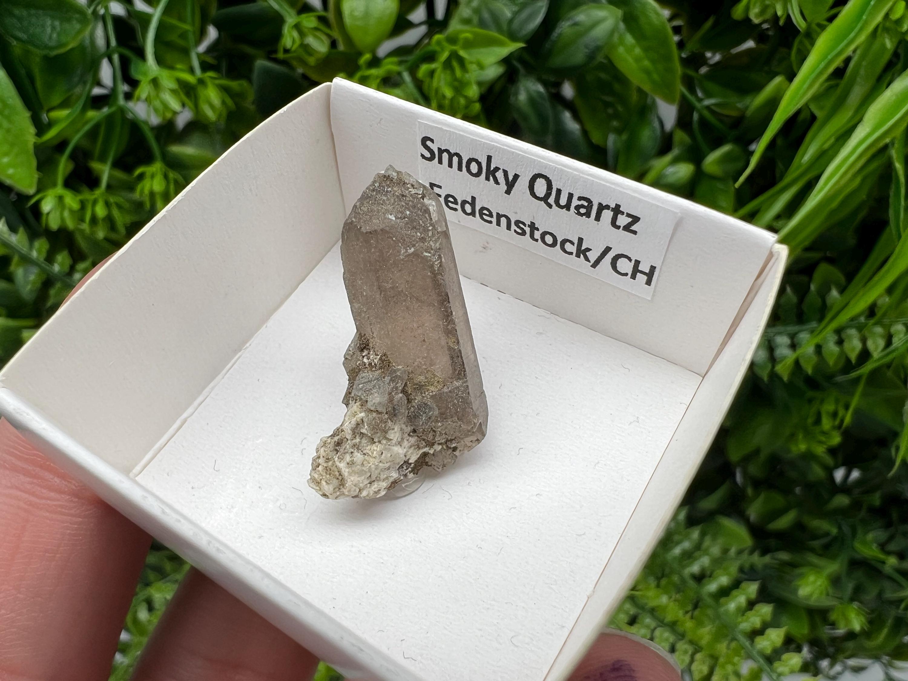 Rare Fedenstock Smoky Quartz, Swiss Mineral Specimen