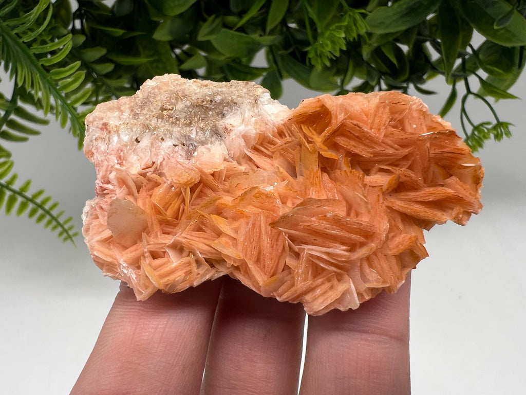 Wonderful Baryte with Cerussite on Galena from Morocco,Crystal, Mineral,Specimen,Cluster,Crystals,Barite Crystal,Cerussite Crystal,Specimen
