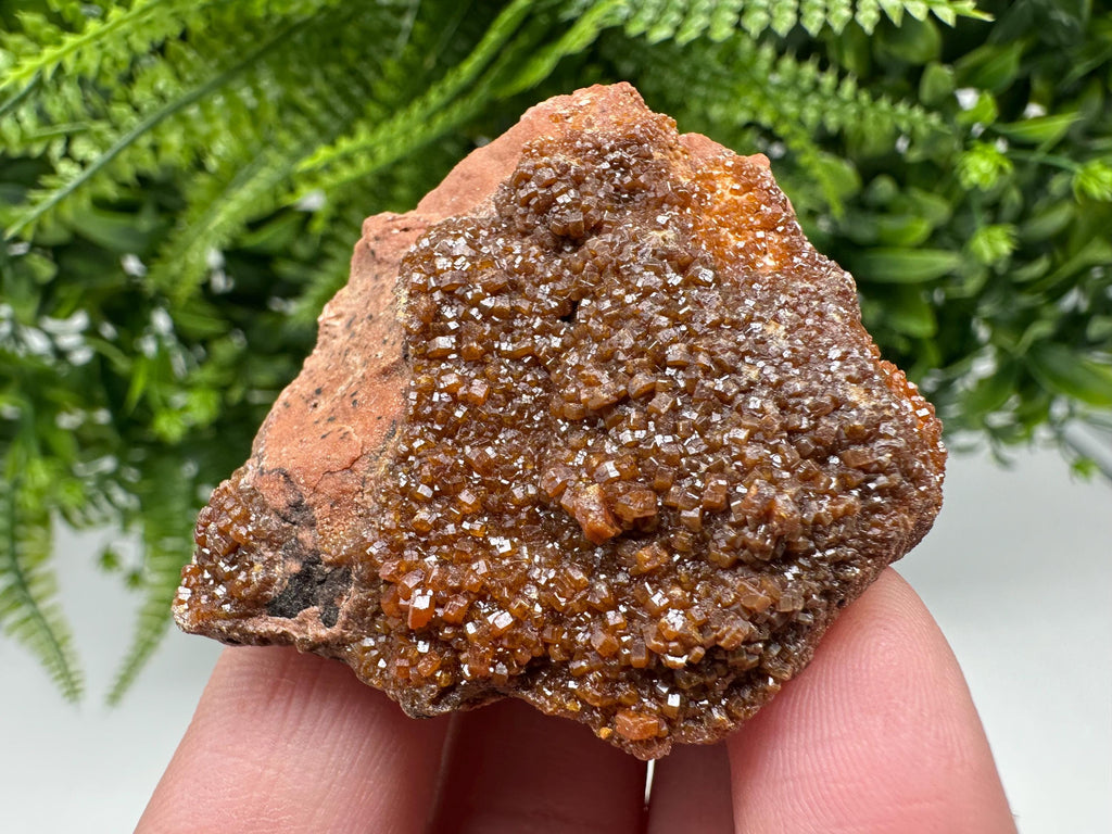 Red Vanadinite on Matrix from Marocco,crystal minerals Speciment cluster Vanadinite crystal Vanadinite Geology Vanadinite cluster minerals