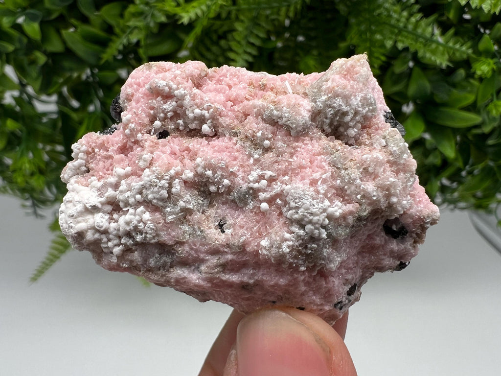 RARE Rhodochrosite with White Calcite, Starnica Mine, Bulgaria