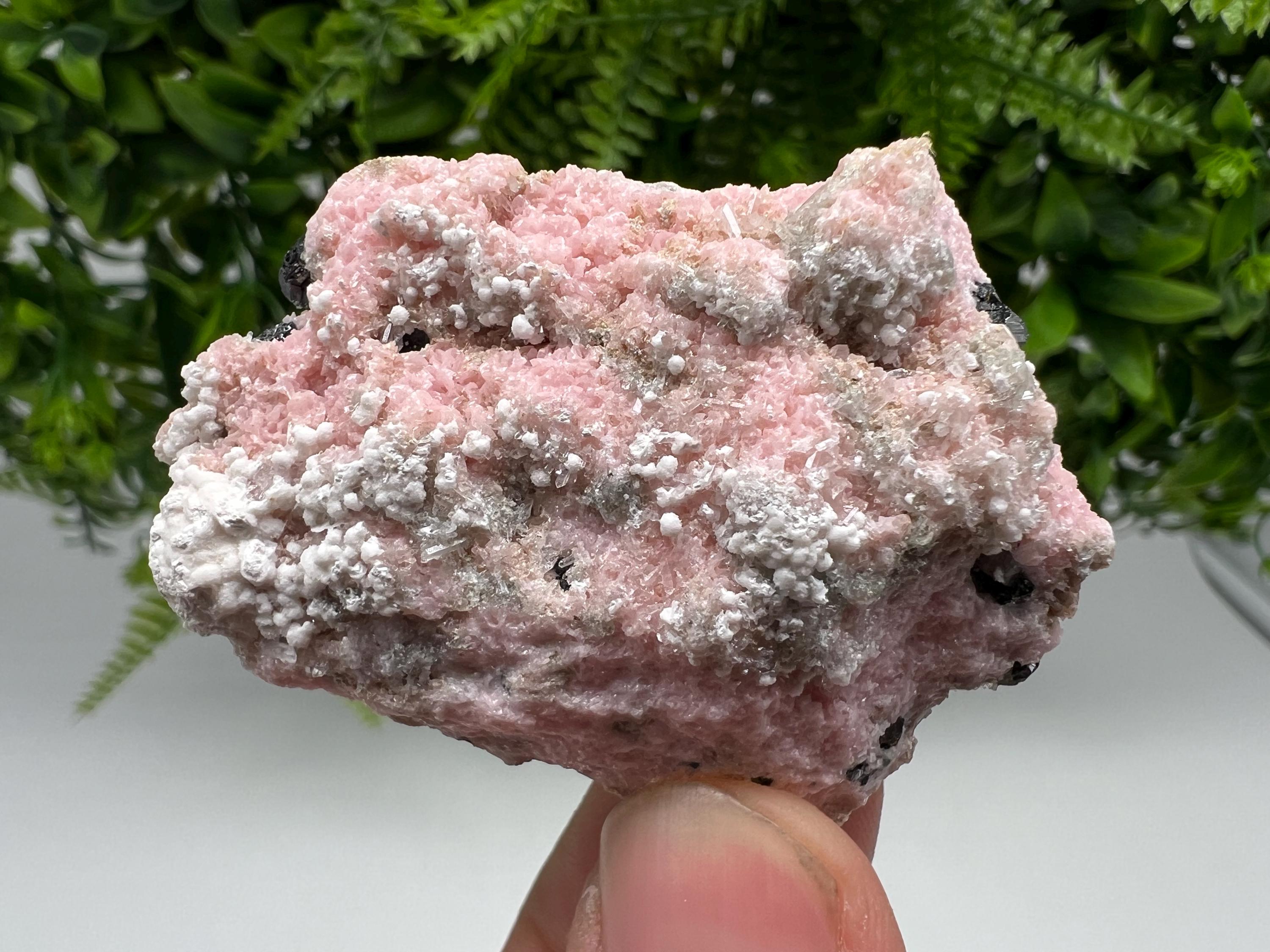 RARE Rhodochrosite with White Calcite, Starnica Mine, Bulgaria