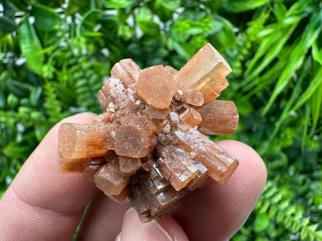 Moroccan Aragonite Sputnik Cluster: Raw Crystal Stone Decor