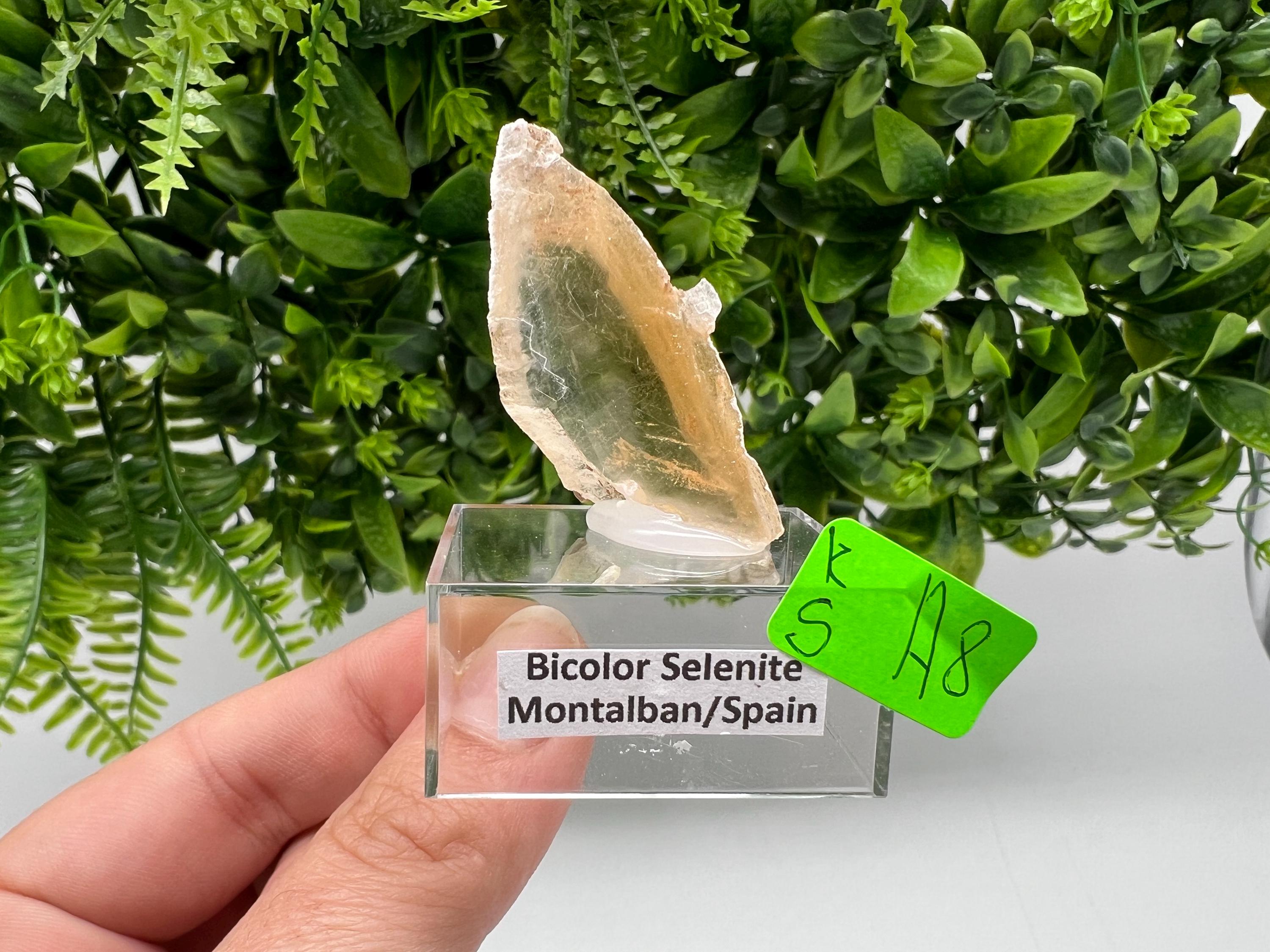 Golden Phantom Selenite Slab, Raw Utah Crystal (3/4cm)