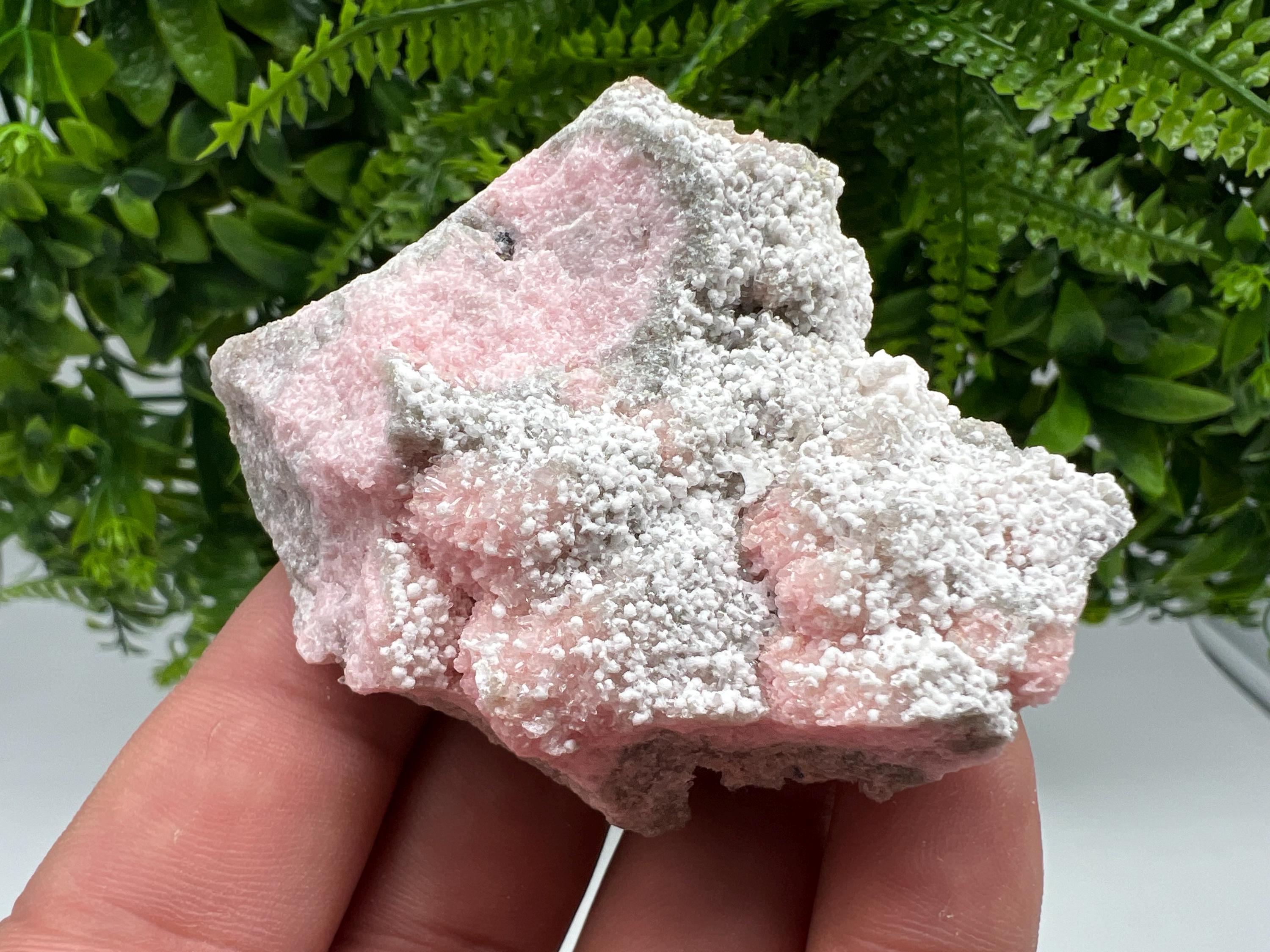 RARE Rhodochrosite with White Calcite, Starnica Mine, Bulgaria