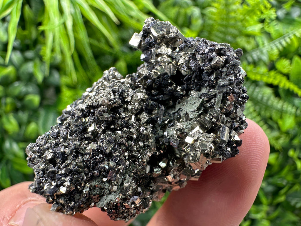 Pyrite on Quartz Needles: Borieva Mine Bulgaria Crystal Decor