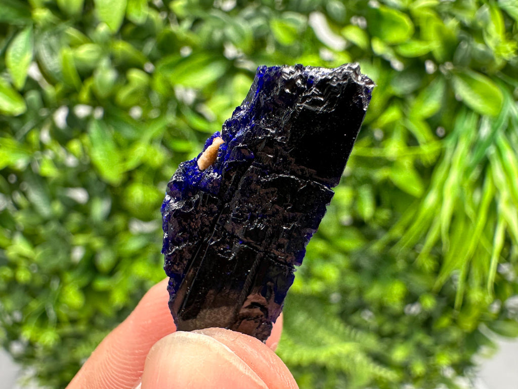 Crystallized Azurite-Kerrouchen,Morocco-Blue Azurite Specimen-High Quality Blue Azurite-Azurite Mineral Specimen, gemmy,lustrous of Azurite