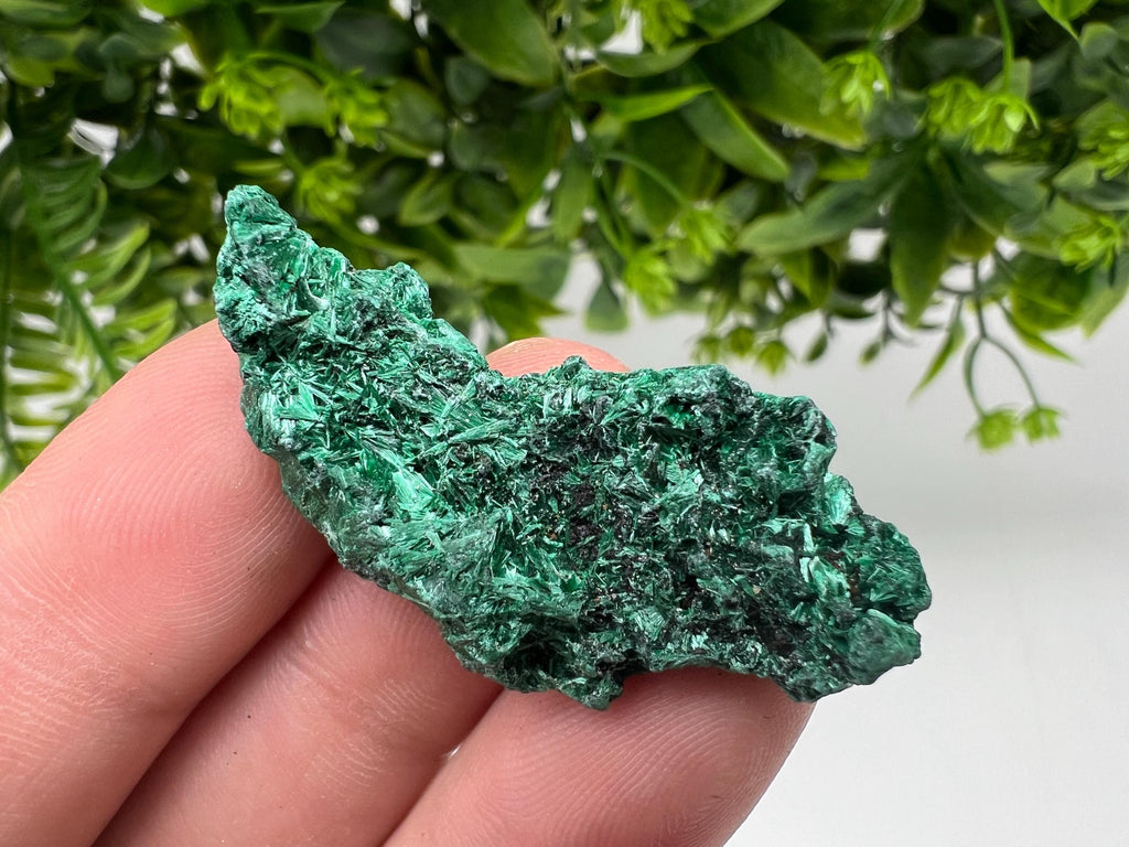 Malachite Crystal from Congo,Minerals,Crystals from Congo,Green Malachite, Malachite,Natural Malachite,Malachite Stone,Chakra, Specimens