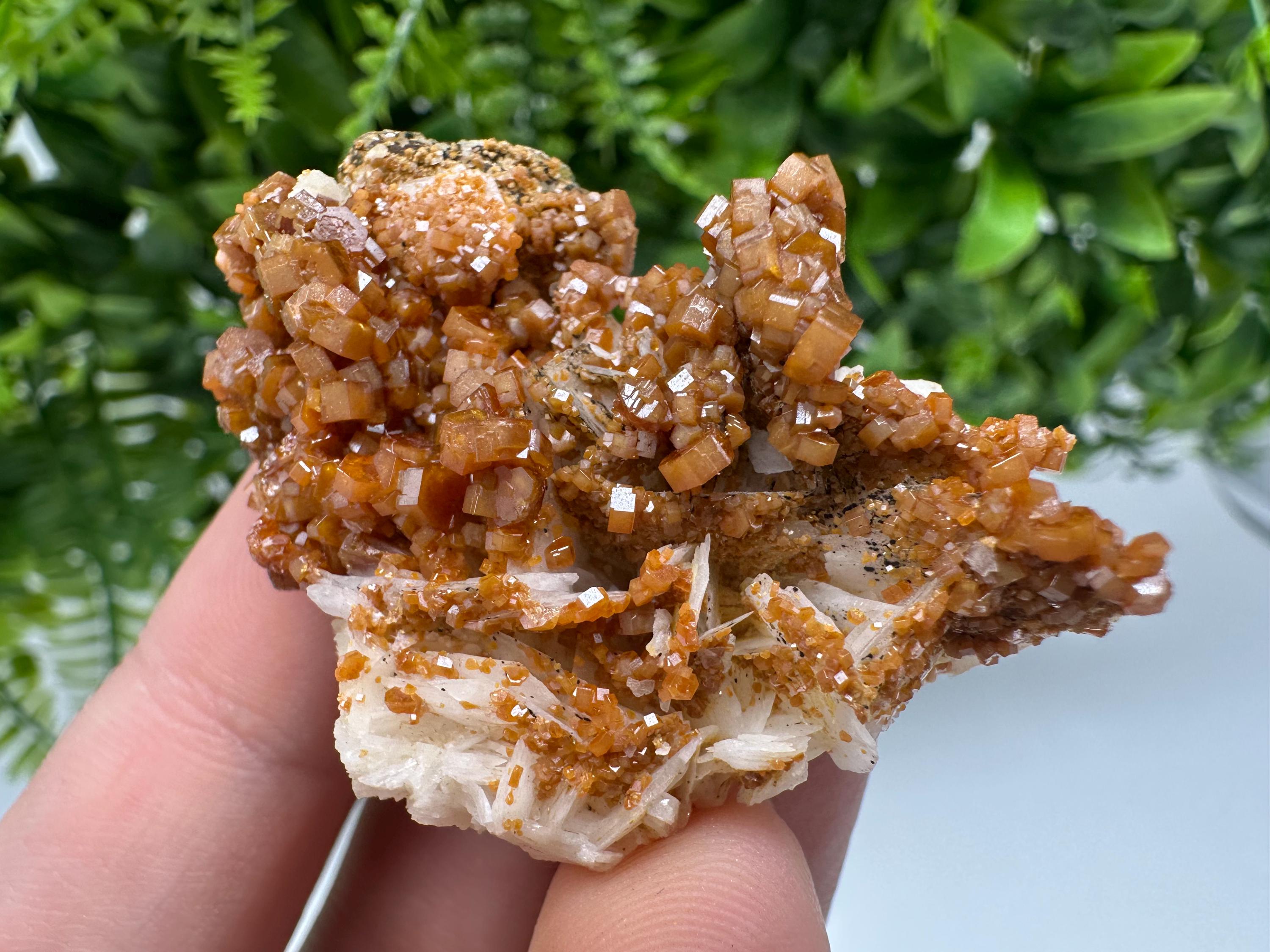 Red Vanadinite on Barite from Marocco,crystal minerals Speciment cluster Vanadinite crystal Vanadinite Geology Vanadinite cluster minerals