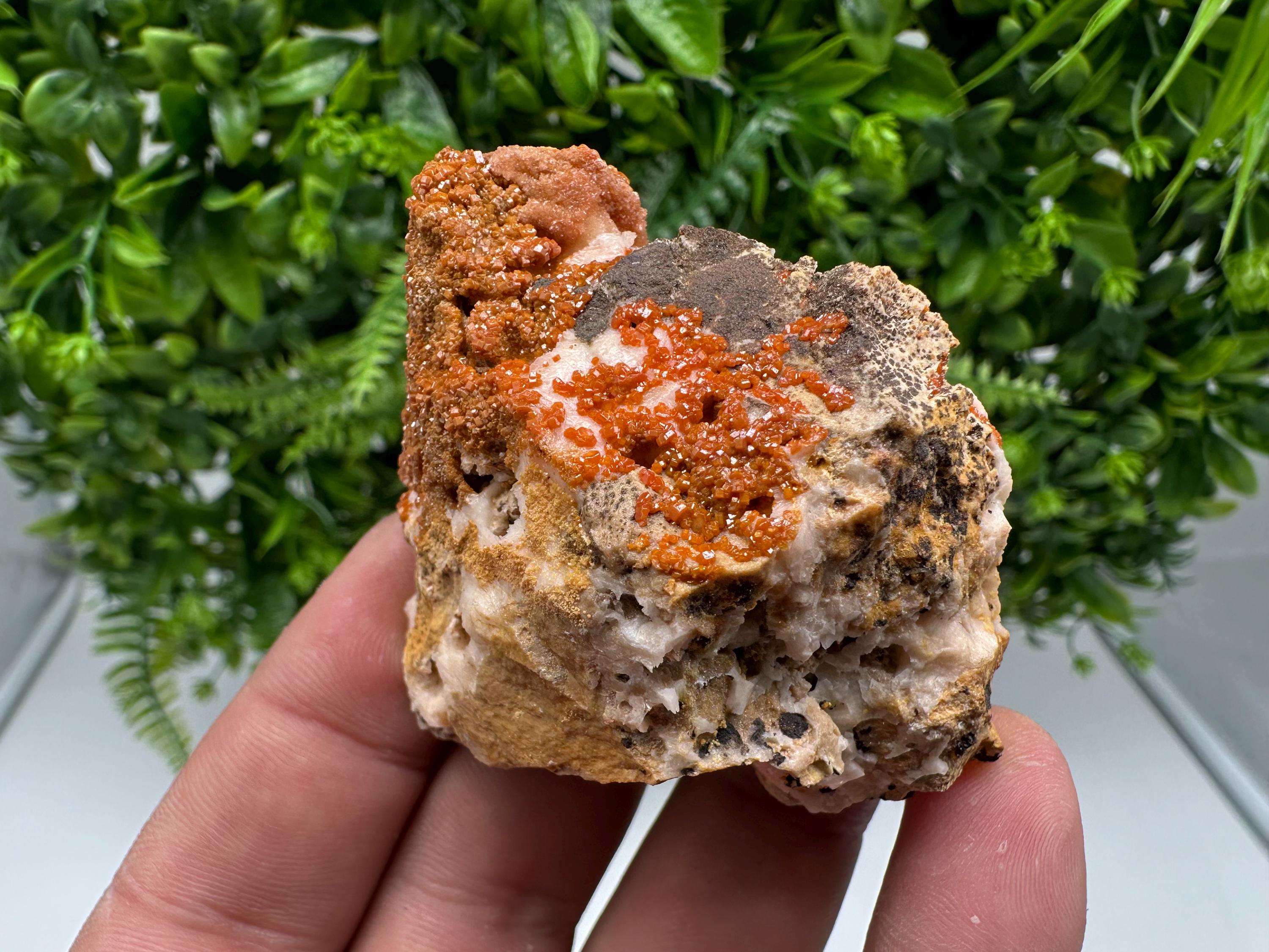 Red Vanadinite on Barite from Marocco,crystal minerals Speciment cluster Vanadinite crystal Vanadinite Geology Vanadinite cluster minerals