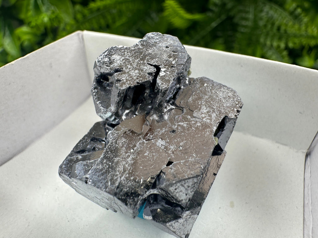 Shiny Galena Cluster: Borieva Mine, Madan, Bulgaria