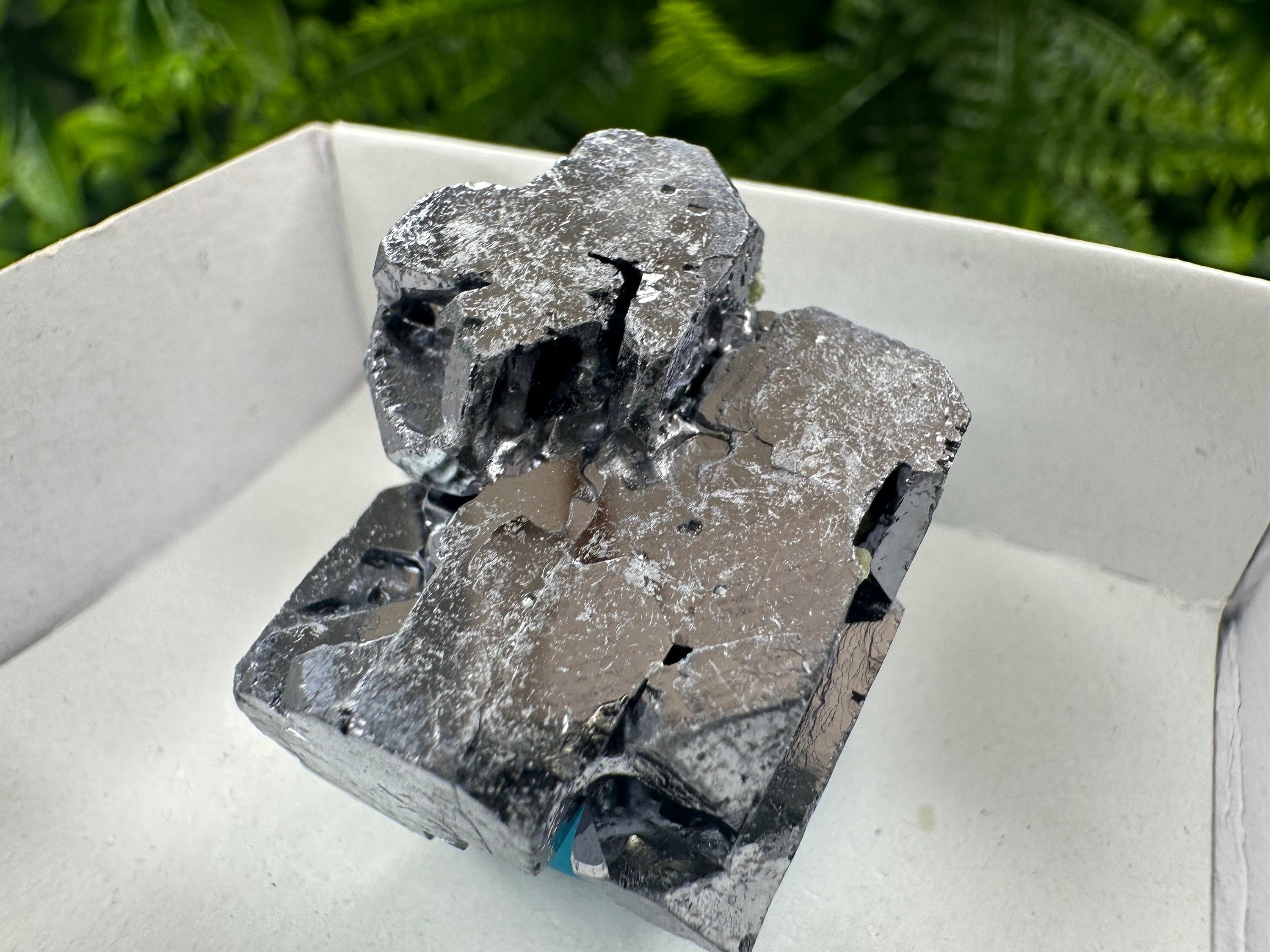 Shiny Galena Cluster: Borieva Mine, Madan, Bulgaria