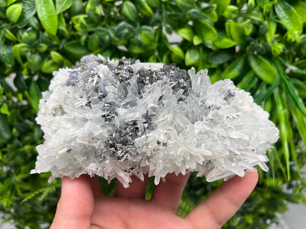 Sphalerite Galena Pyrite on Quartz: Borieva Mine Mineral Cluster