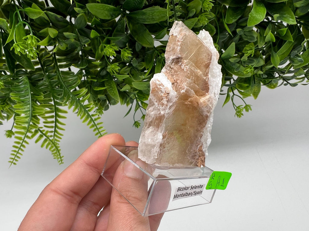 Golden Phantom Selenite Slab: Utah Raw Crystal Wand (5.5/8cm)