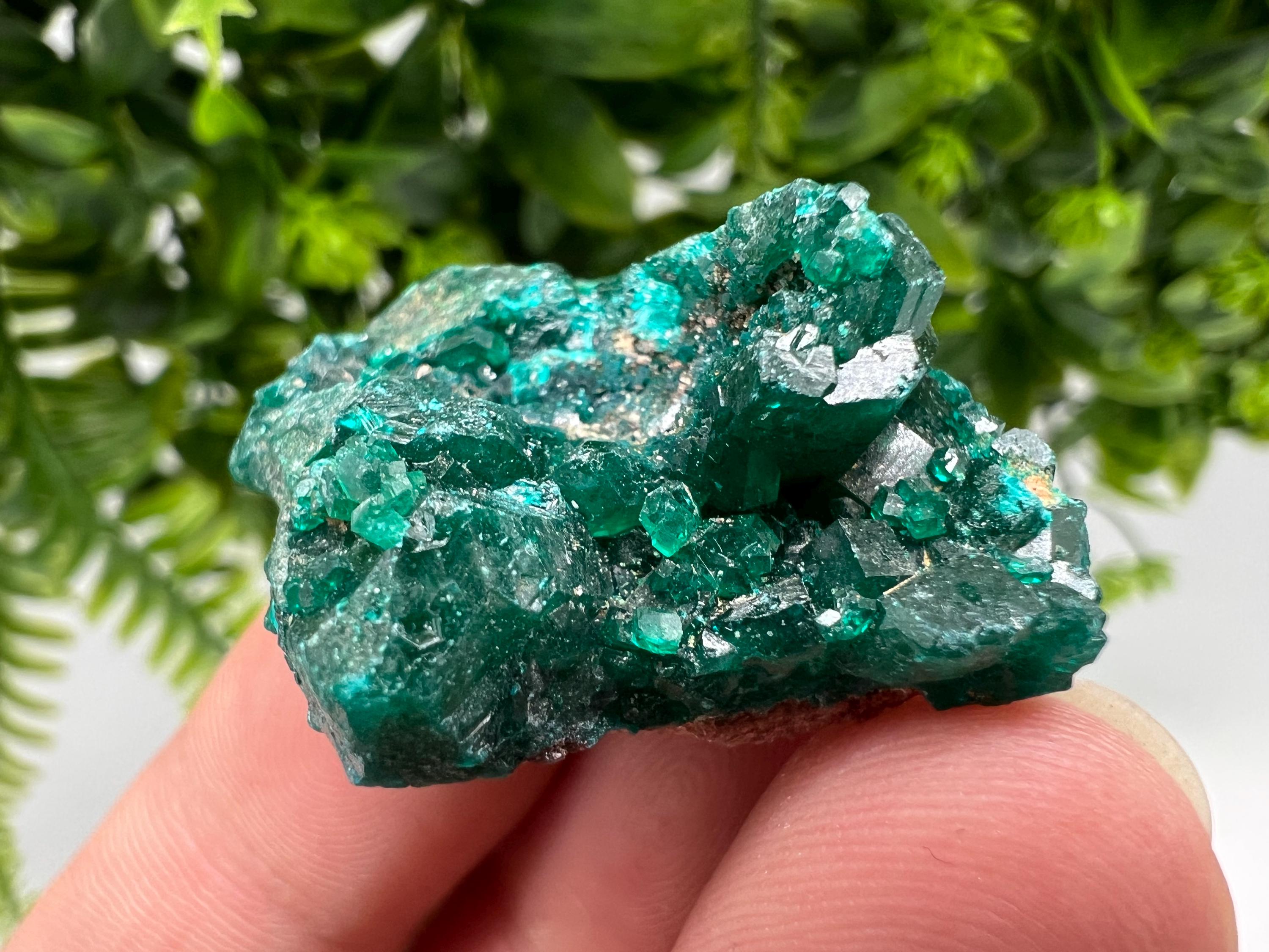Stunning Green Dioptase from Sanda Hills,Mindouli,Pool Department,Mindouli District,Congo,green Dioptase,Dioptas Crystal,Dioptase collecting