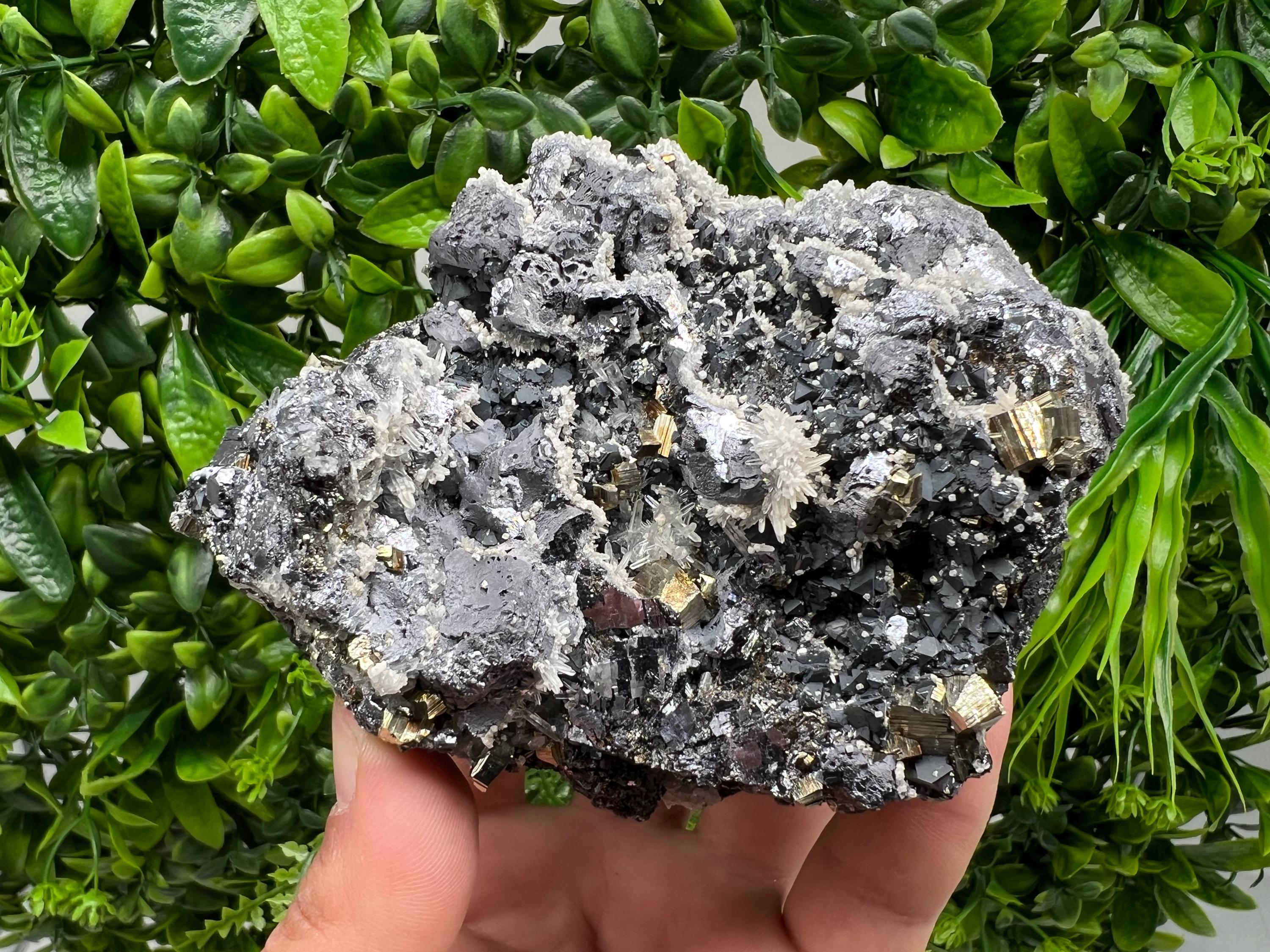 Galena Sphalerite Quartz Pyrite Mineral Specimen: Madan Bulgaria Rare Crystal