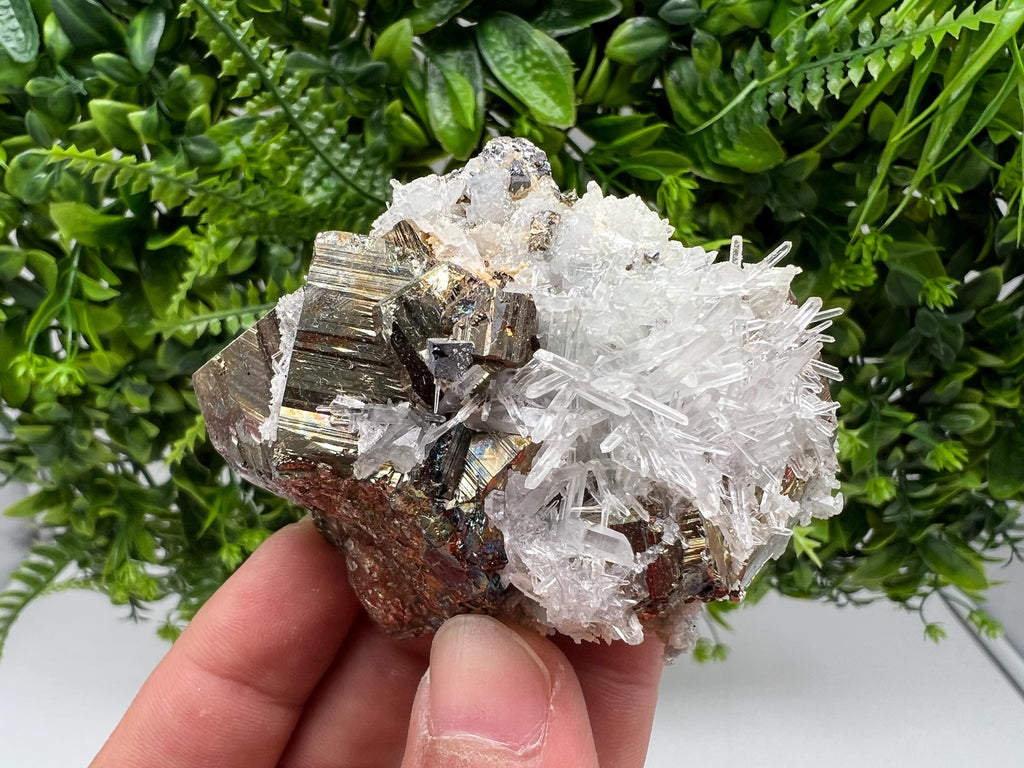 Rare Pyrite on Quartz Crystal: Borieva Mine, Bulgaria
