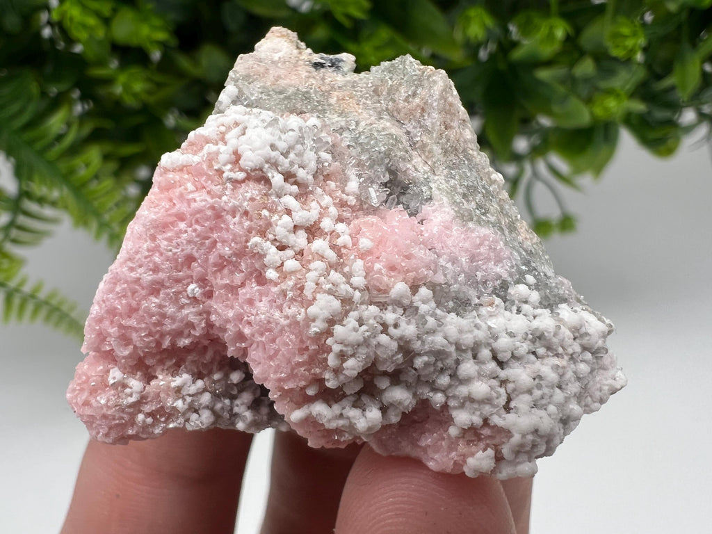 RARE Rhodochrosite with White Calcite, Starnica Mine, Bulgaria