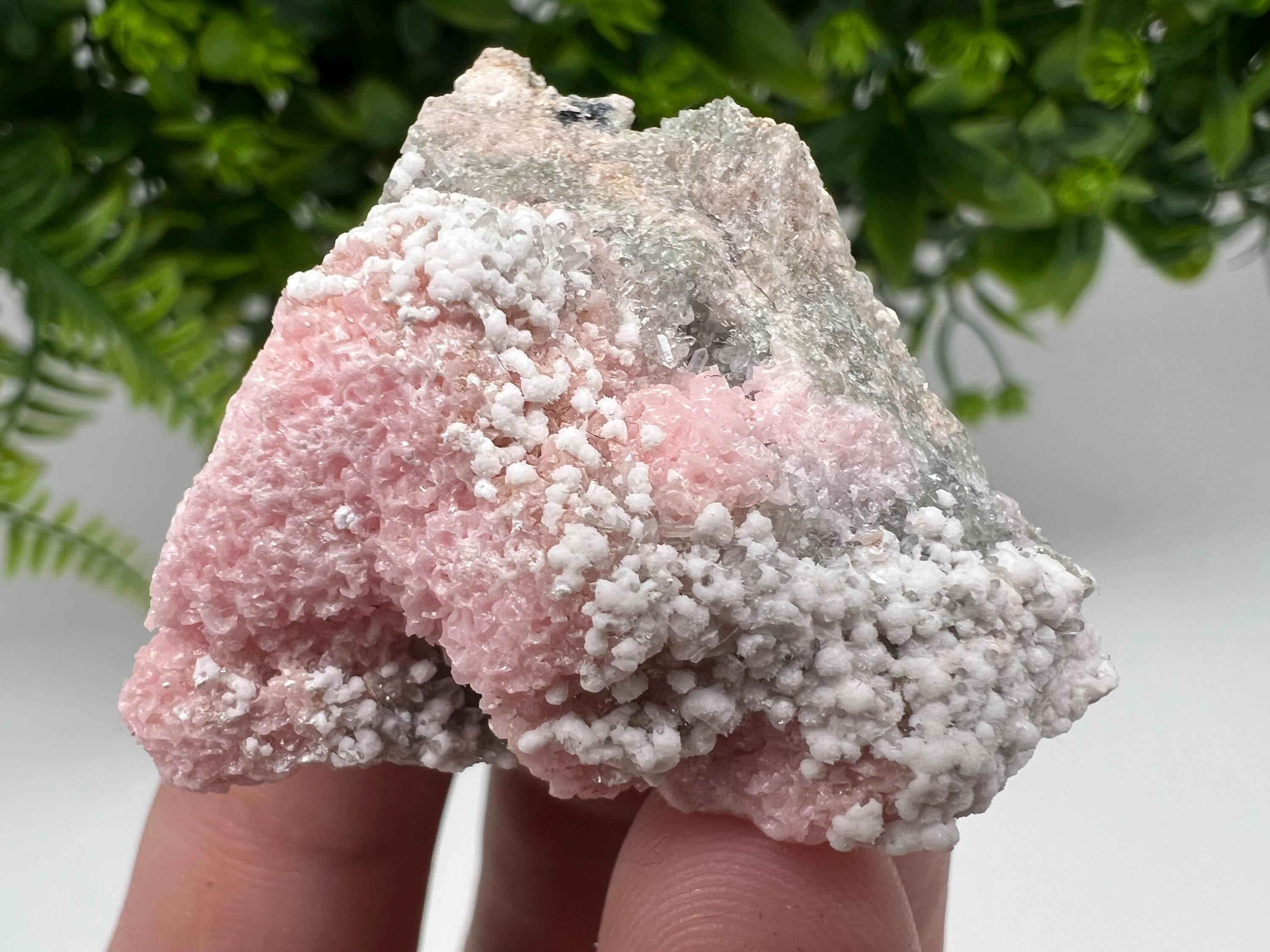 RARE Rhodochrosite with White Calcite, Starnica Mine, Bulgaria