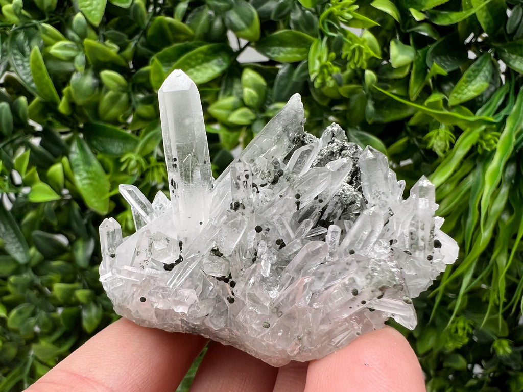 Stunning Transparent Quartz,from Borieva mine,natural collection mineral specimen rare crystal,home decor crystal,quartz cluster,Quartz,gift