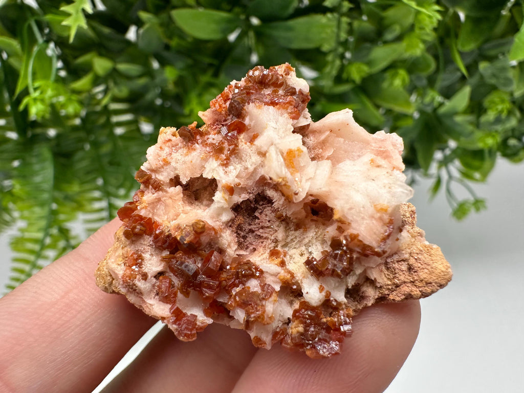 Red Vanadinite on Barite from Marocco,crystal minerals Speciment cluster Vanadinite crystal Vanadinite Geology Vanadinite cluster minerals