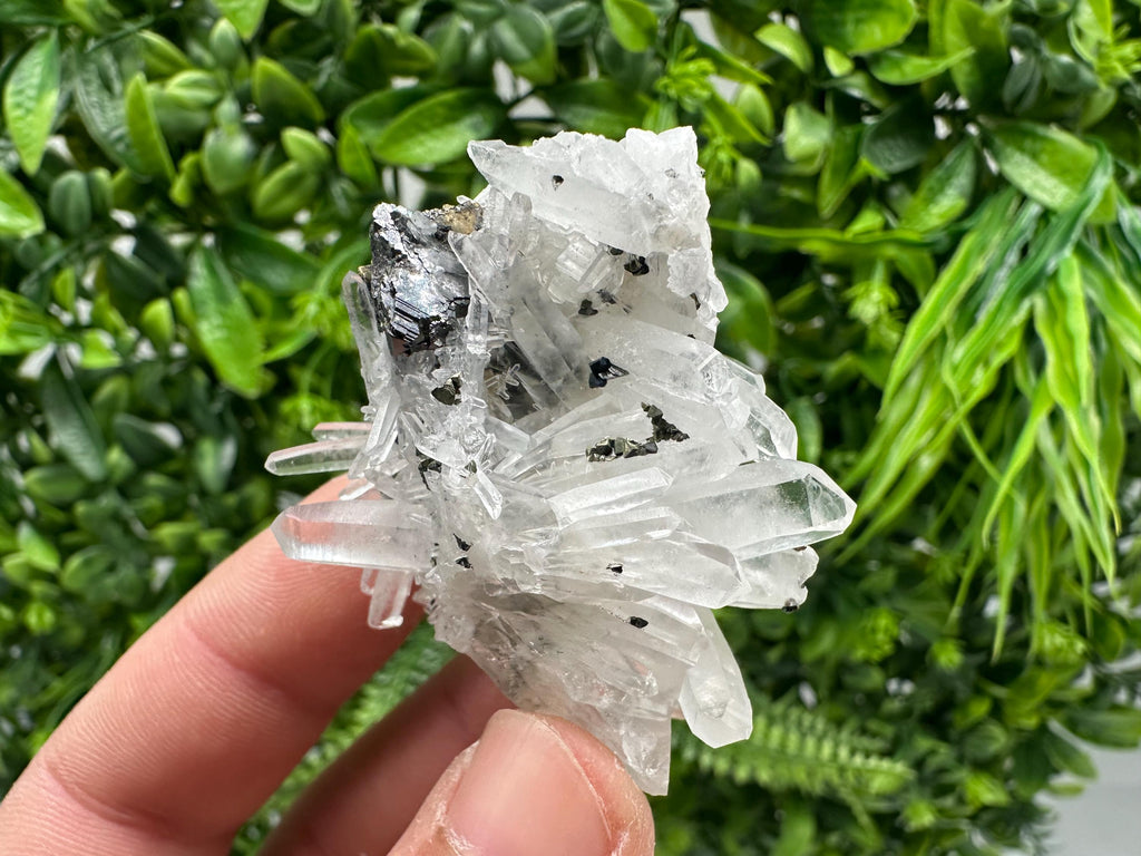 Wonderful Sphalerite Chalcopyrite on  Quartz whit Hematite feom 9 th September mine,Bulgaria,natural,collection mineral specimen,gift