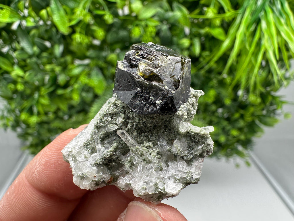 Stunning Sphalerite on  Quarzt from Borieva mine,Madan,Bulgaria,natural,collection mineral specimen,home decor crystal,gift,collection