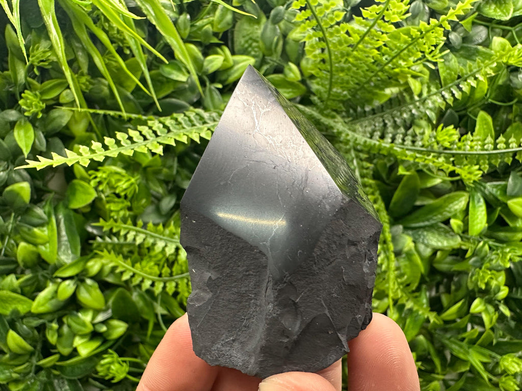 Polished Shungite Crystal: EMF Protection Stone (5cm)