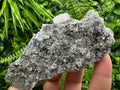 Pyrite on Quartz Specimen: Borieva Mine Bulgaria, Home Decor