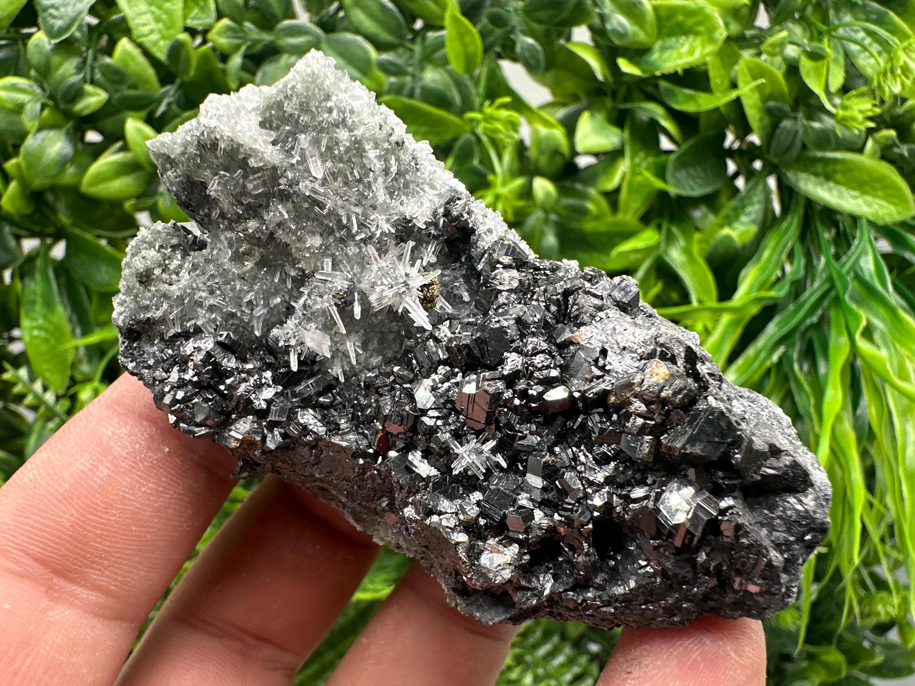 Sphalerite on Green Quartz, Madan Bulgaria Mineral Specimen