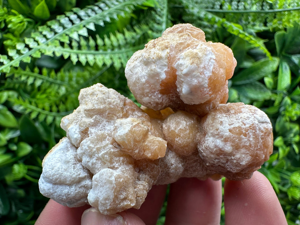 Aragonite Cluster, Dimitrovgrad Bulgaria, Mineral Specimen