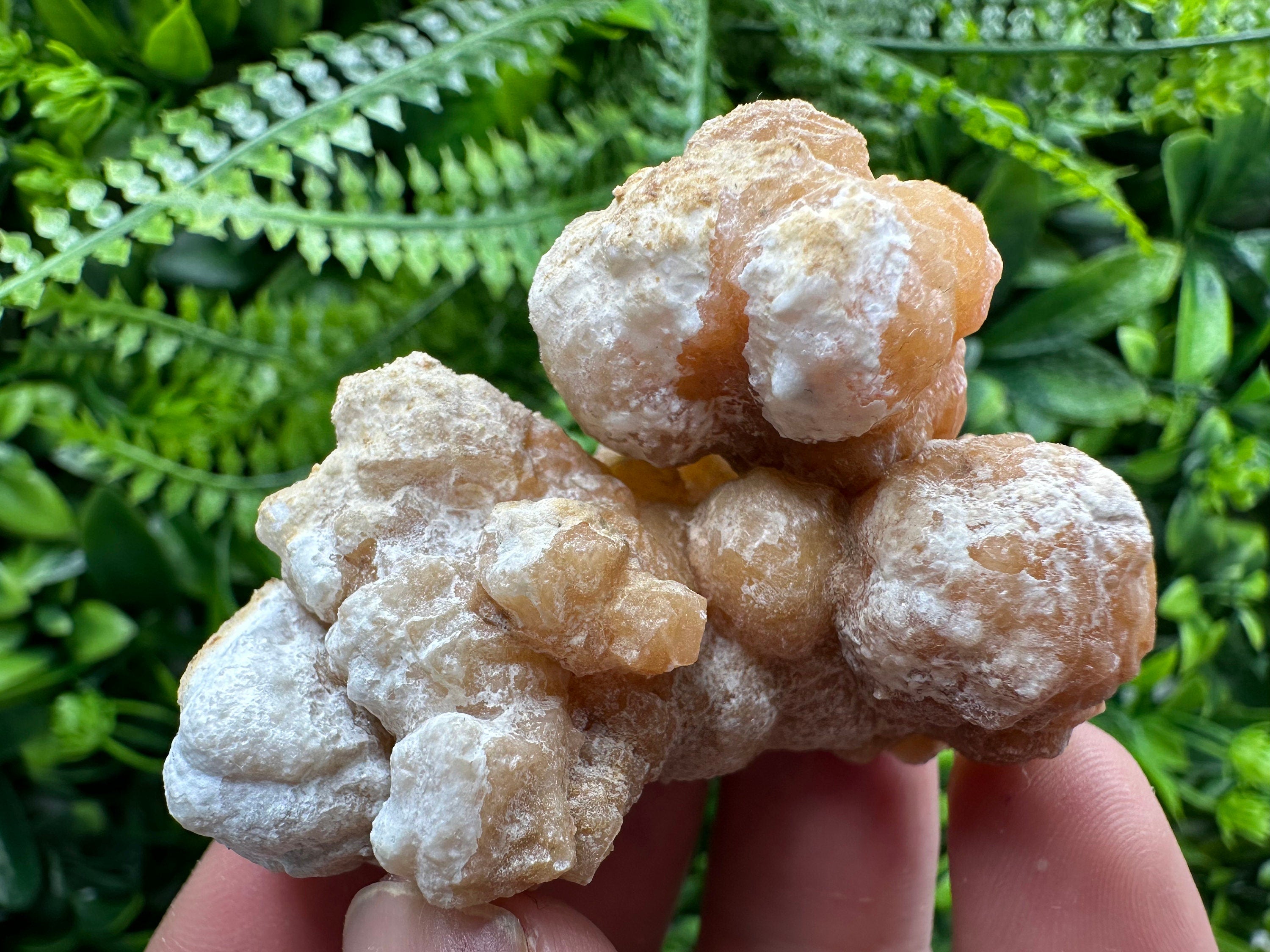 Aragonite Cluster, Dimitrovgrad Bulgaria, Mineral Specimen