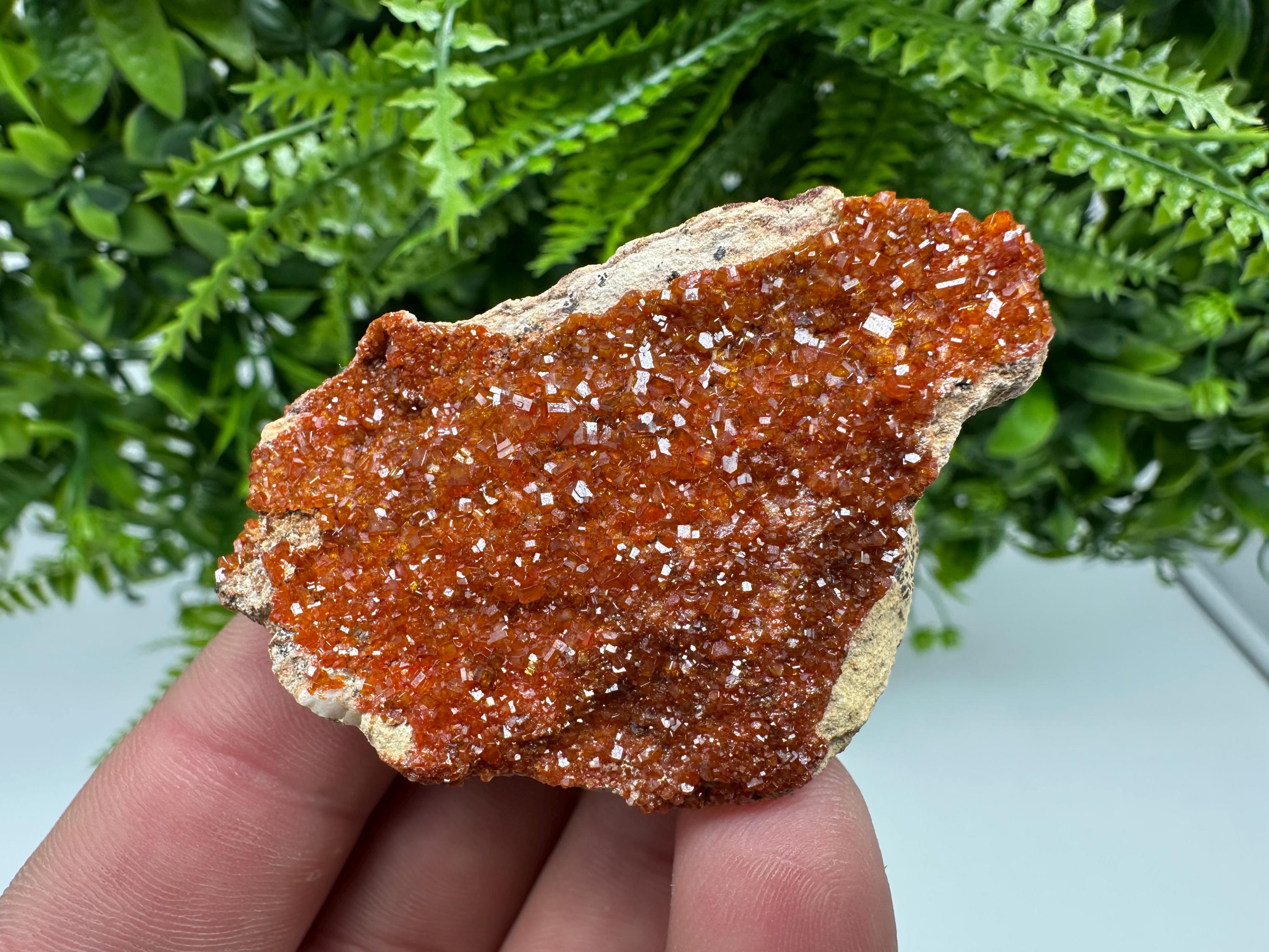 Red Vanadinite Crystal on Barite, Morocco Mineral Specimen
