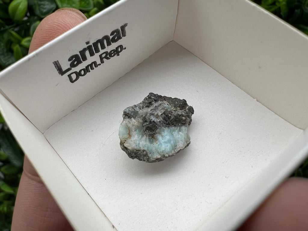 Rare Raw Larimar Specimen: Dominican Republic Mineral Collection (20/15mm)