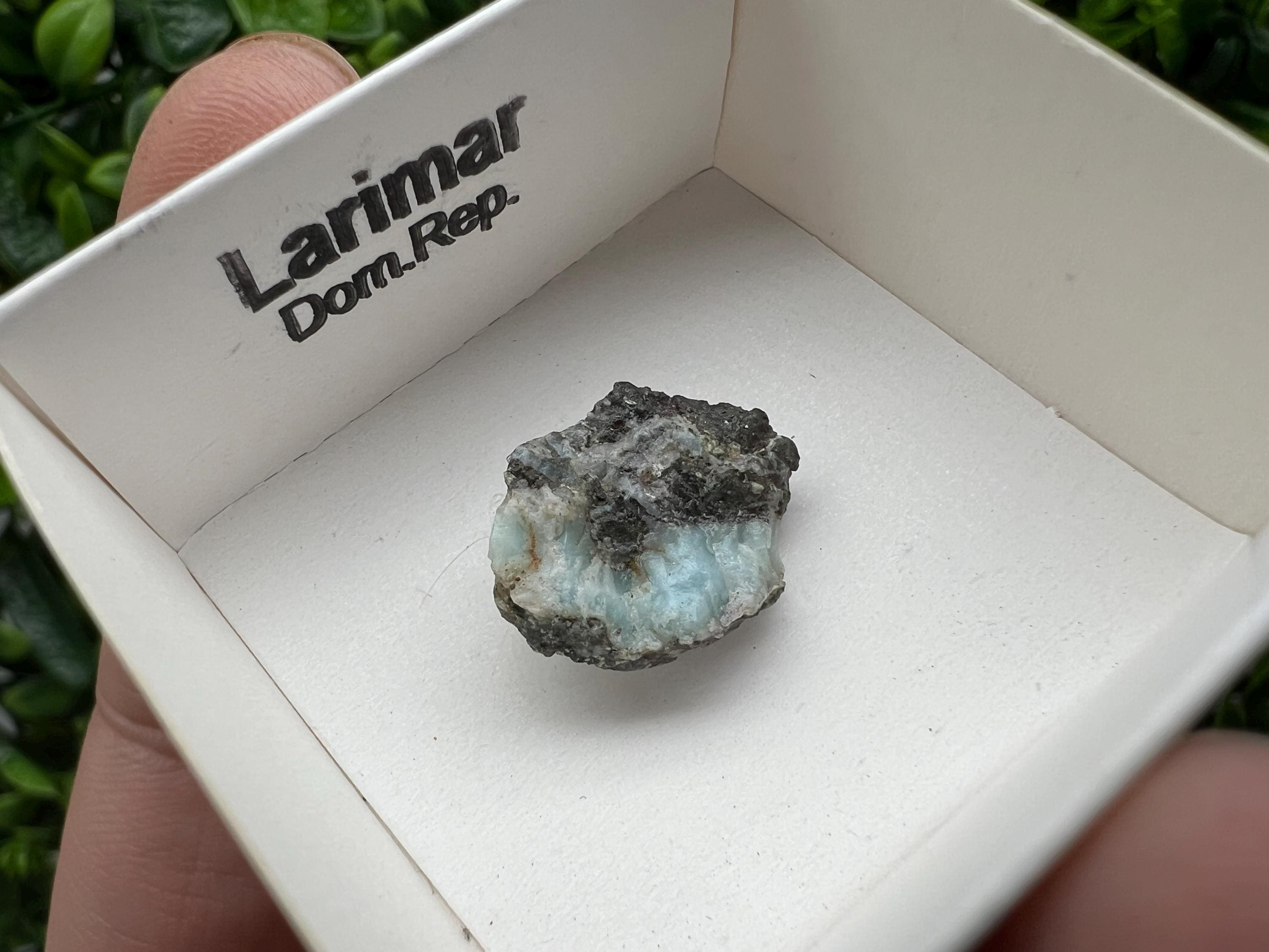 Rare Raw Larimar Specimen: Dominican Republic Mineral Collection (20/15mm)