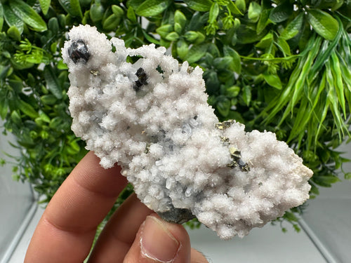 Chalcopyrite on Quartz Specimen: Krushev dol Mine, Bulgaria