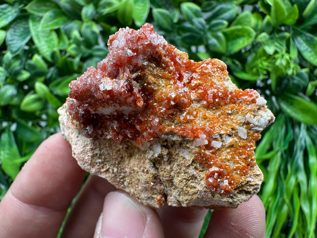 Red Vanadinite Crystal Cluster on Matrix, Morocco Mineral Specimen