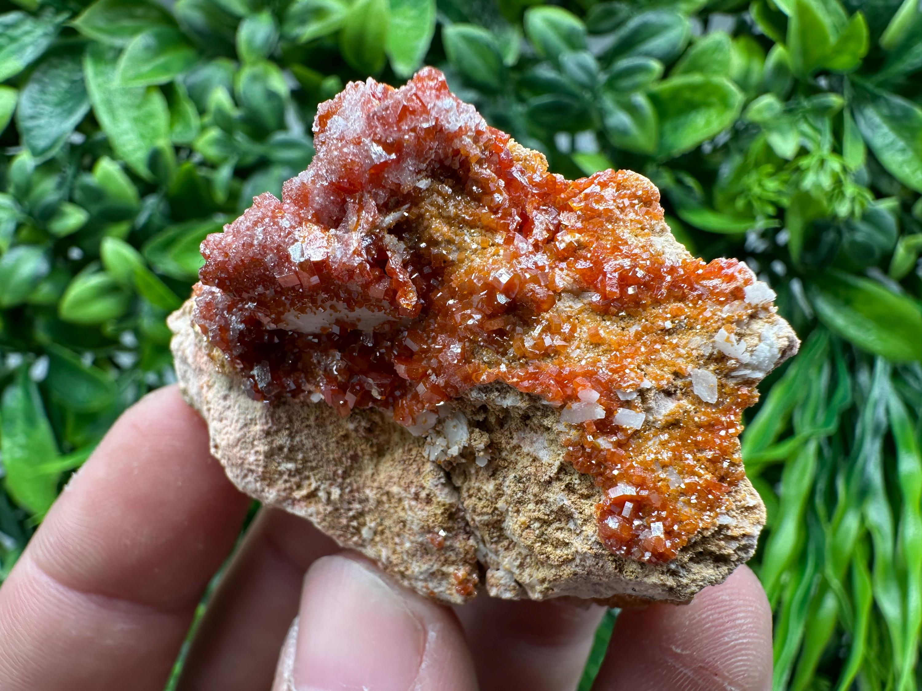 Red Vanadinite Crystal Cluster on Matrix, Morocco Mineral Specimen