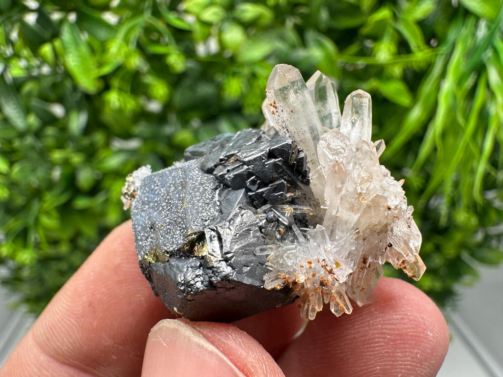 Wonderful Sphalerite Chalcopyrite on  Quartz whit Hematite feom 9 th September mine,Bulgaria,natural,collection mineral specimen,gift