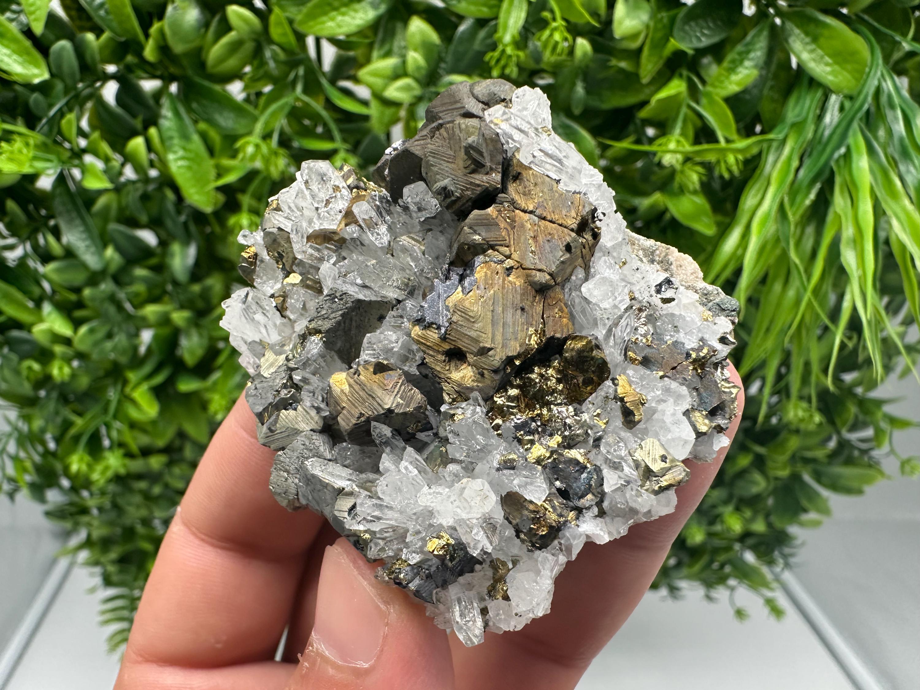 Chalcopyrite on Quartz, Chlorite Mineral Specimen, Djurcovo Mine, Bulgaria